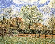 Camille Pissarro Pear trees bloom in the morning oil painting